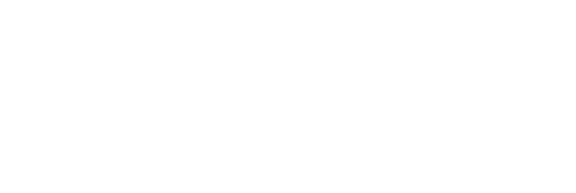 Fahmir aviation service providers logo